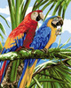 Parrots in the Tropics