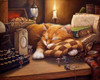 Lazy cat