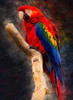 Diamond Painting - Red Parrot