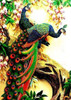Diamond Painting - Peacocks on branches