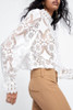 Band Collar  Decorative Lace  Lace Plain  Blouses Band Collar  Decorative Lace  Lace Plain  Blouses
