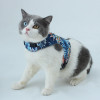 Breathable Pet Harness and Leash Set