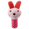 Plush Squeaky Dog Toys