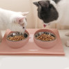 Stainless Steel Cat Double Bowls