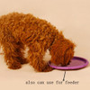 Interactive Dog Chew Toys Resistance Bite Soft Rubber Puppy Pet Toy