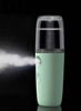 Portable Face Beauty Stream Hydrating Spray