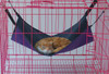 Pet Hammock