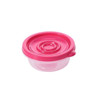 Plastic Rainbow Food Storage Boxes