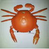 Mini Crab Remote Control Kids Toy