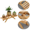 Plant Flower Shelf