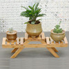 Plant Flower Shelf