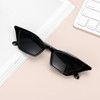 Women Small Frame Vintage Cat Eye Trendy Sunglasses