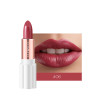 Semi Velvet Rich Color Waterproof Moisturizing Long Lasting Lipstick