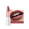 Semi Velvet Rich Color Waterproof Moisturizing Long Lasting Lipstick