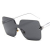 Women's Fashion Retro Square Sunglasses