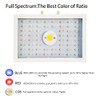 1200w LED Grow Light (LED 57pcs) - Jookyo L16