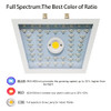 1100w LED Grow Light (LED 57pcs) - Jookyo L13
