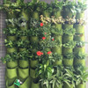 GreenPockets - Vertical Garden Grow Bags GreenPockets - Vertical Garden Grow Bags