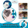 Interactive Windmill Cat Toy