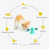 Interactive Windmill Cat Toy