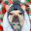 EMHABIT™ Winter Dog Hat