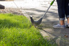 13-Inch 4-Amp Corded Electric Lawn Mower, 13-Inch, 4-Amp Corded.