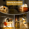 Industrial Dimmable Desk Lamp with 2 USB Charging Ports AC Outlet