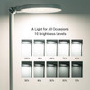 Desk Lamp
