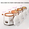 Electric Lunch Box, Travel Rice Cooker Small, Removable Non-stick Pot