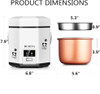 Electric Lunch Box, Travel Rice Cooker Small, Removable Non-stick Pot