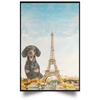 Dachshund Eiffel Tower Canvas Defect Weenie Paris France Wall Art Decor Spring Gift Dog Lover
