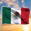 Golden Eagle Flag Mexican Flag Bird Outdoor Hanging Decor