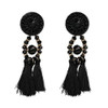 Boho Babe Tassel Fringe Earring