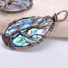 Sea Abalone Shell Earrings/Pendant Necklace Sea Abalone Shell Earrings/Pendant Necklace