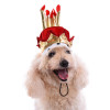 Cute Dog Birthday Hat