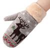Winter Warm Holiday Snow Gloves