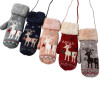 Winter Warm Holiday Snow Gloves