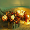 Rattan Balls Led Light String