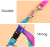 Adjustable Rainbow Dog Leash