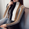 Turtleneck Knit Vertical Striped Sweater
