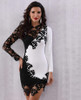 Evening Party Sexy Lace Club Dress