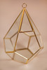 Triangle Geometric Terrarium