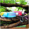 Fruit Infusion Water Bottle