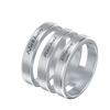 3 Names Ring