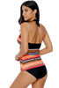 Multicolor Zigzag Print Halter Tankini Swim Top