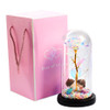 Forever Rose In LED Glass Dome