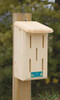 Coveside Small Butterfly House