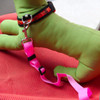 Pet Car Seat Belt