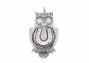 Coin necklace with the Horseshoe coin medallion on owl ahuva coin jewelry owl lovers owl Jewlery horses jewelry