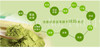 100% Natural Organic Matcha Green Tea Powder